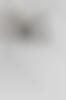 fireshot_capture_131_ _reeto_von_gunten_ _reetovongunten com_ _www reetovongunten com