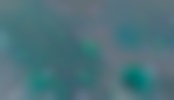 Websitedesign
