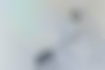 Web-App Entwicklung: Konzept und User Interface