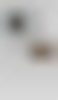 reeto_von_gunten_ _reetovongunten com_ _www reetovongunten com